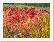 2006-10-21_17-10-20_octobre_200,0mm_1_40_eme_DiMAGE A2 * 2560 x 1920 * (1.58MB)